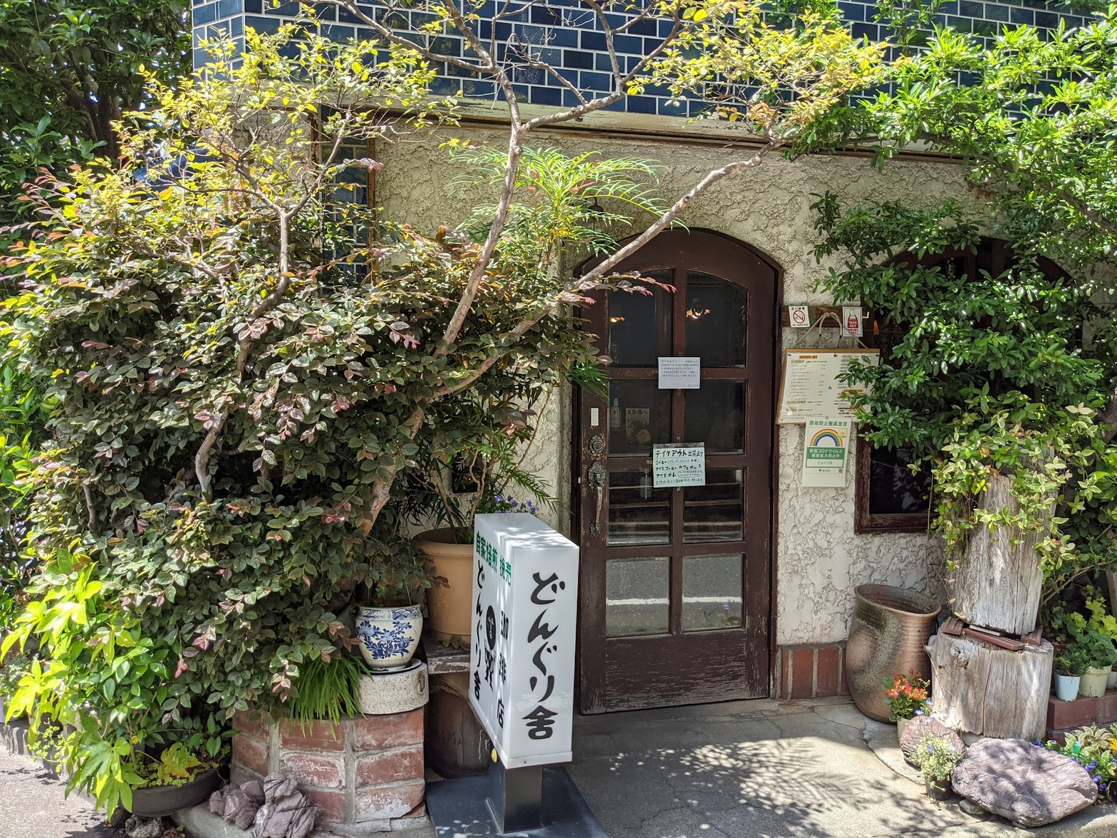 緑の植栽に囲まれた白漆喰の外壁とアーチ型の木製ドア、手前に「どんぐり舎」の看板が立つ昼間の外観